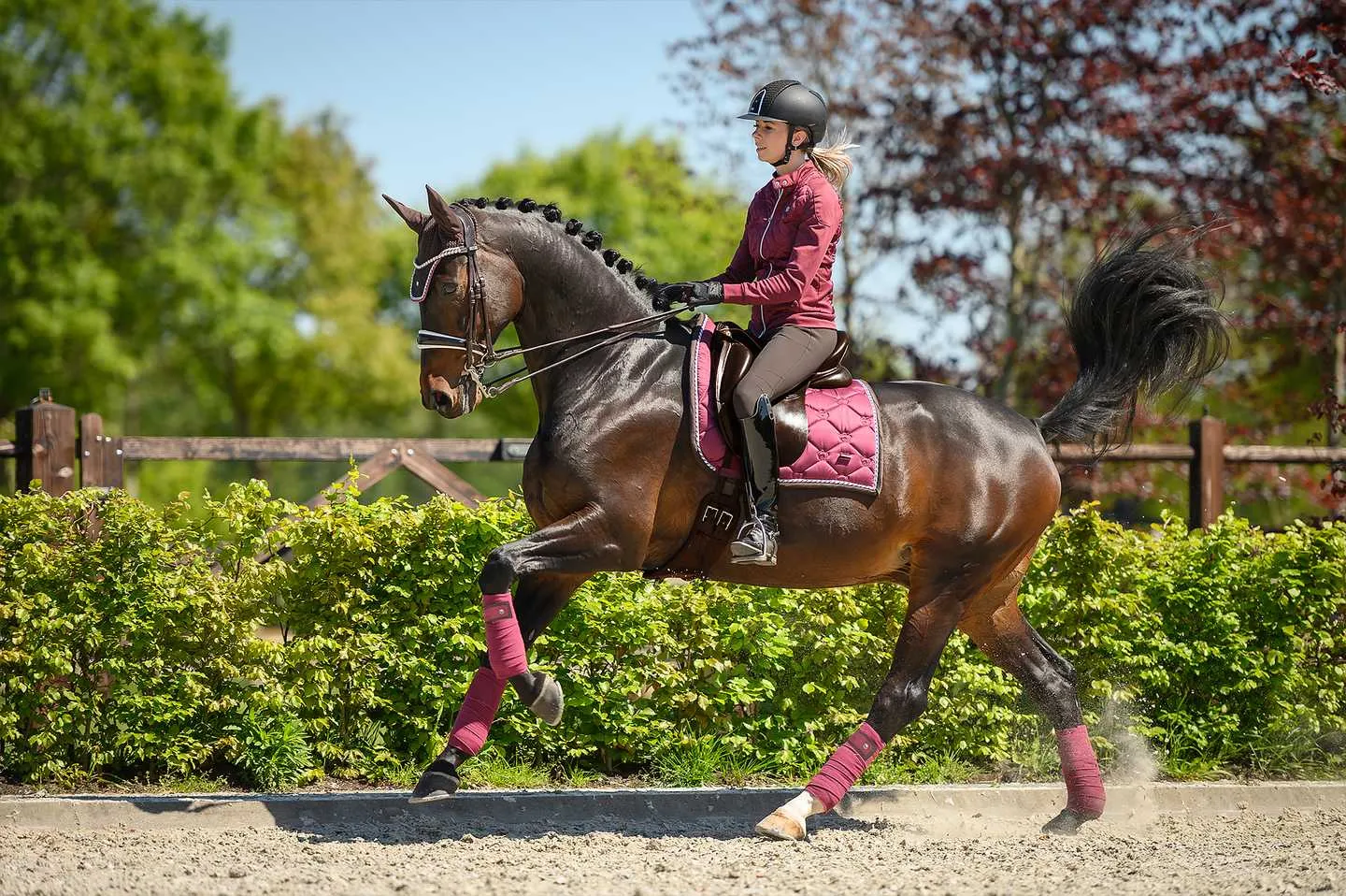 Robyn Breeches