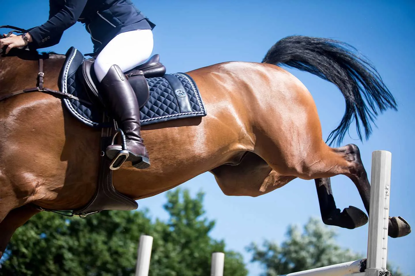 Robyn Breeches