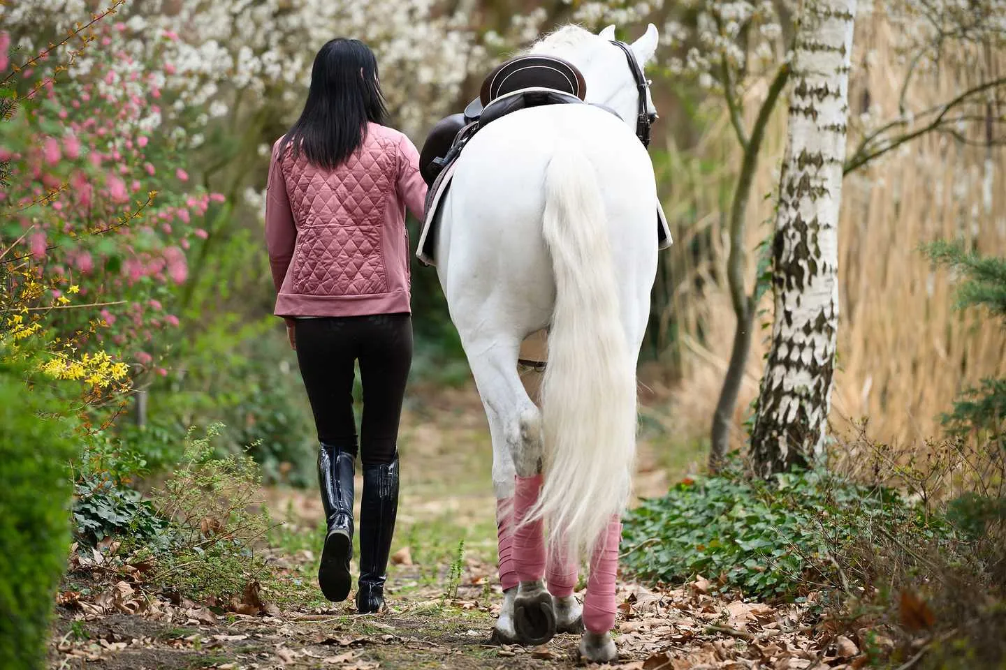 Robyn Breeches